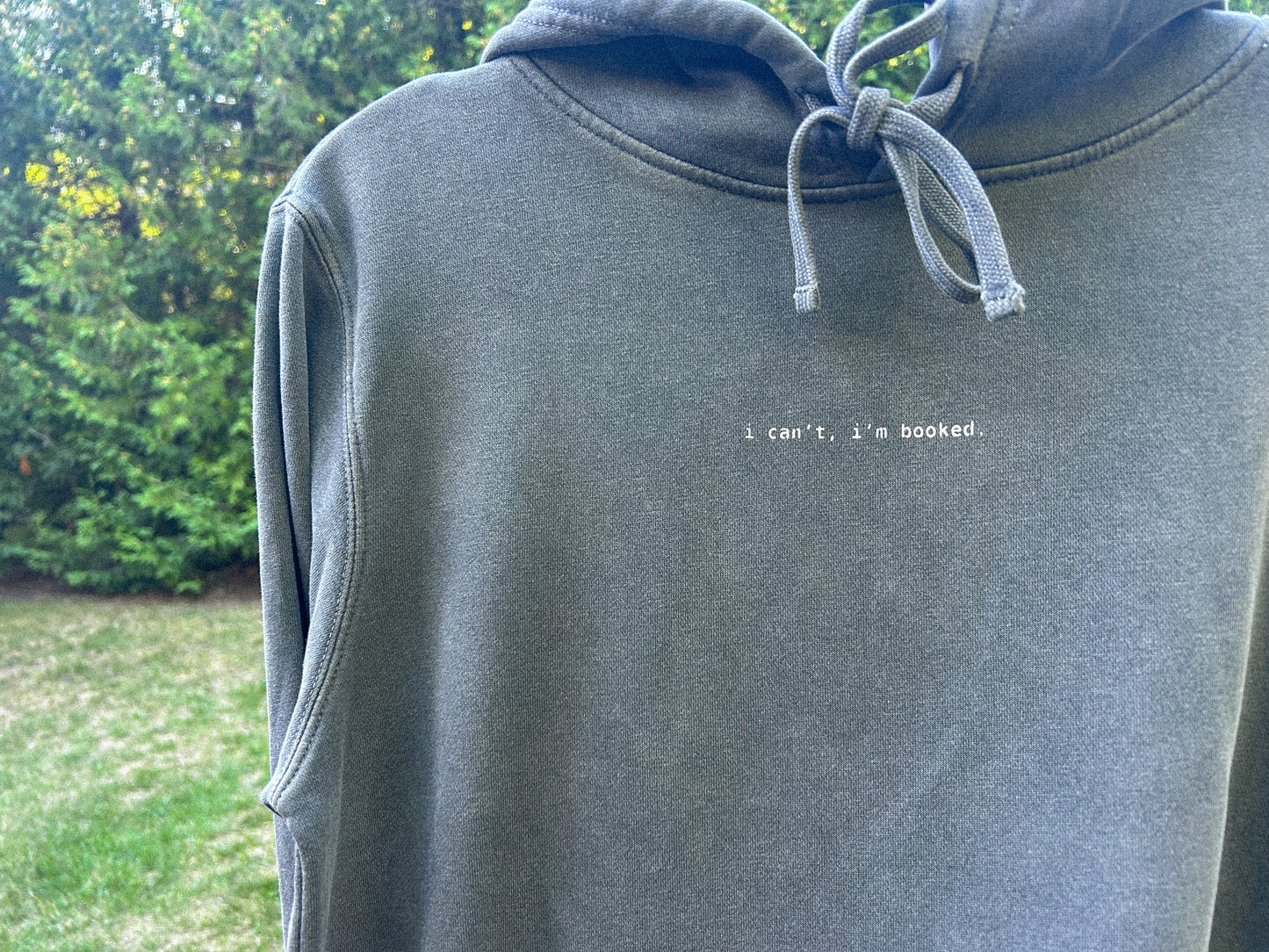 i can't, i'm booked hoodie