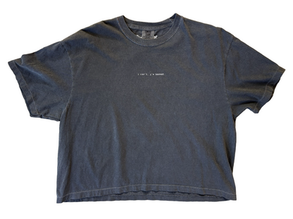 'i can't, i'm booked' book boxy tee
