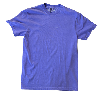 'i can't, i'm booked' book tee